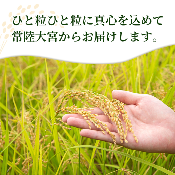 常陸大宮産 コシヒカリ 5kg 米 お米 令和7年 精米 白米 こめ コメ ご飯 ごはん コシヒカリ こしひかり 5kg 5キロ 【常陸農業協同組合】【ho1574】