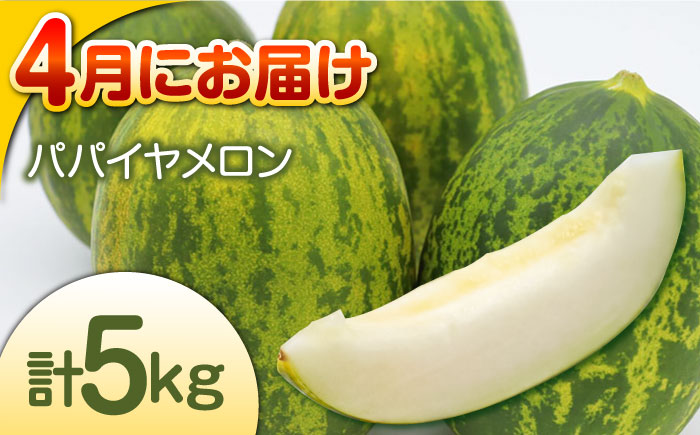 【偶数月 6回定期便】長崎・南島原グルメ バラエティ定期便 / バラエティ セット 野菜定期便 フルーツ定期便 フルーツ 果物 野菜 やさい そうめん 角煮 皿うどん ちゃんぽん / 南島原市 / 贅