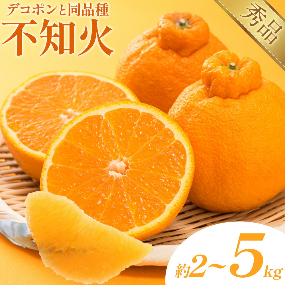 【ふるさと納税】不知火（デコポン同品種） 選べる 内容量 約2kg～約5kg 日本フルーツ株式会社 熊本県 長洲町 《1月下旬-2月末頃出荷予定》 デコポン 果物 秀品 フルーツ スイーツ デザート ギフト ご贈答