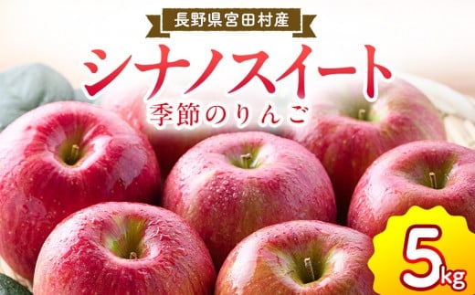 季節のりんご『シナノスイート』（５ｋｇ）（予約制）（りんご 林檎 フルーツ ビタミン 果物 くだもの 食品 人気 上伊那 宮田村 長野 信州 甘い 新鮮 人気 ギフト 贈答 お祝い プレゼント 贈り物