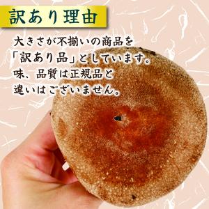 【全3回定期便】 訳あり 不揃い 生しいたけ 1kg しいたけ シイタケ 椎茸