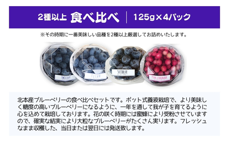 ブルーベリー 国産大粒 食べ比べ 4パック (125g✕4) | ブルーベリー ブルーベリー ブルーベリー ブルーベリー ブルーベリー ブルーベリー ブルーベリー