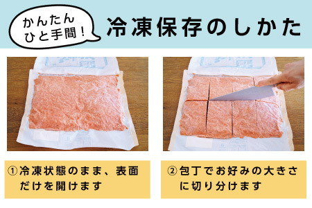 ピリ辛秋鮭フレーク1kg G-16005