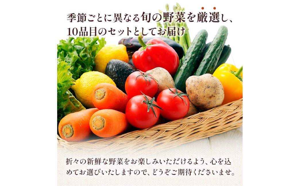 熊本県 10品目 野菜 セット 6ヶ月 定期便