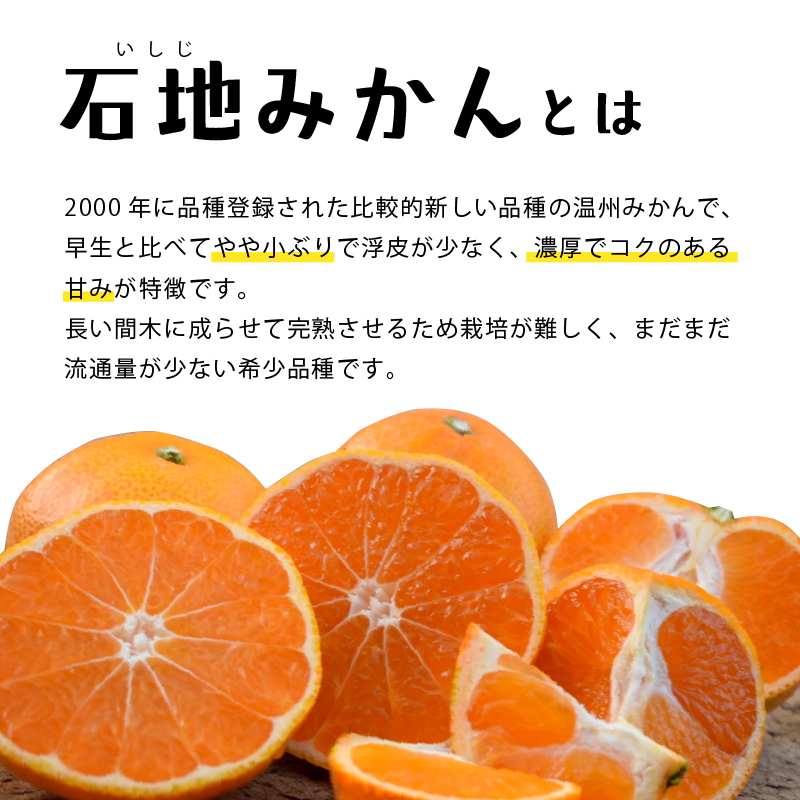 【2026年12月中旬頃から順次発送】 瀬戸内海の島みかん (秀品)【石地みかん】約5kg | 柑橘 みかん 密柑 オレンジ フルーツ 果物 愛媛県 松山市 ココオ Koko'o