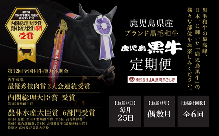 【JA食肉かごしま】鹿児島黒牛定期便（全6回） 和牛日本一の「鹿児島黒牛」お肉 ステーキ すき焼き しゃぶしゃぶ グルメ お取り寄せ 国産 黒毛和牛 牛肉 定期便