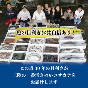 鮮魚便 獲れたて 3～6匹 刺し身 ＼ 刺し身 ／