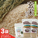 【ふるさと納税】小豆入り玄米2合(小豆を含む300g)×2袋 食べる発芽玄米 30g×1袋 ちっちゃな農家の大きな夢・手軽に玄米を！ 玄米セット山形県 酒田市 庄内地方 庄内平野 玄米 手軽 健康 酵素 発酵