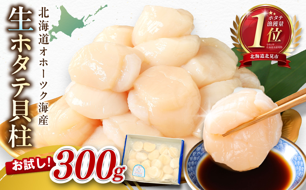 【2026年8月発送】北海道オホーツク海産 ホタテ貝柱 300g 生食用 ( 海鮮 魚介 魚介類 貝 ほたて 刺身 貝柱 海鮮丼 贈答 ギフト 小分け 帆立貝柱 人気 ふるさと納税 ホタテ )【037-0020】