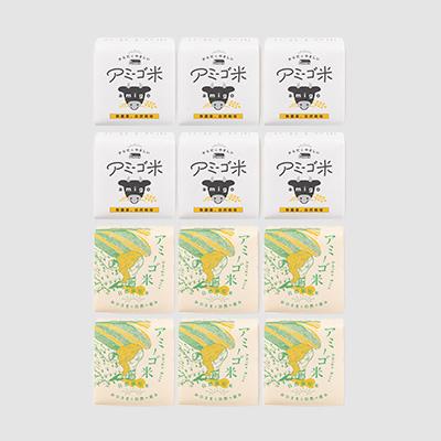 ふるさと納税 大子町 【新米先行予約】アミーゴ米(コシヒカリ)真空キューブ 2合(300g)×12個 計3.6kg|大子町 |  | 01