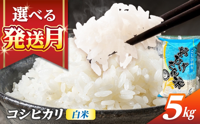 
                  米 【選べる発送月】 コシヒカリ 白米 5kg 米 お米 5kg 5キロ 白米 精米 コメ ご飯 ごはん 愛知県産 国産 県産米 国産米 コシヒカリ こしひかり 発送 時期 選べる 産地直送 15000円 1万5千円 令和7年 愛西市 / 脇野コンバイン [AECP021]
                