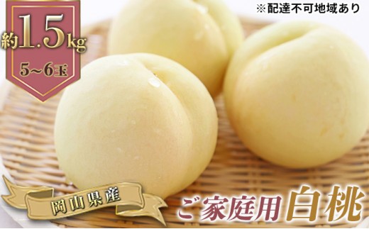 
                  桃 2027年 先行予約 ご家庭用 白桃（晩生種）5～6玉 合計約1.5kg もも モモ 岡山県産 国産 フルーツ 果物 ギフト
                
