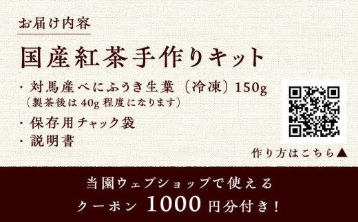 おうちで 紅茶 づくり 体験キット（Webショップで使えるクーポン付）《対馬市》【つしま大石農園】 国産 ティー [WBE010]