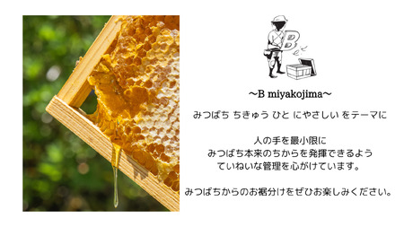 HJ004　宮古島産はちみつ（140g）