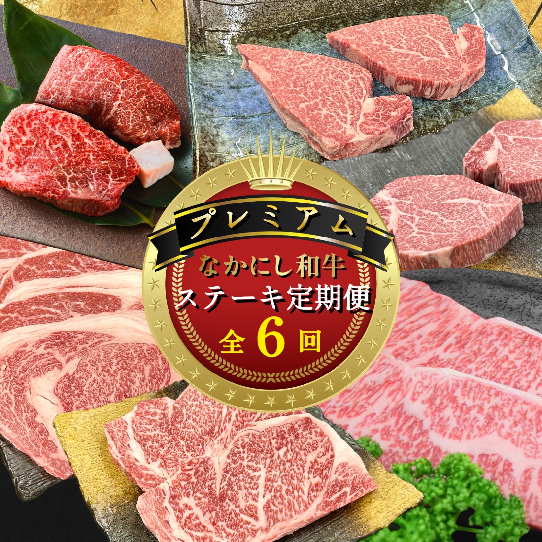 【定期便 全6回】宮崎県西ノ原牧場・なかにしプレミアム和牛ステーキ定期便（牛肉 黒毛和牛 ステーキ サーロイン モモ 定期便 A4 A5）
