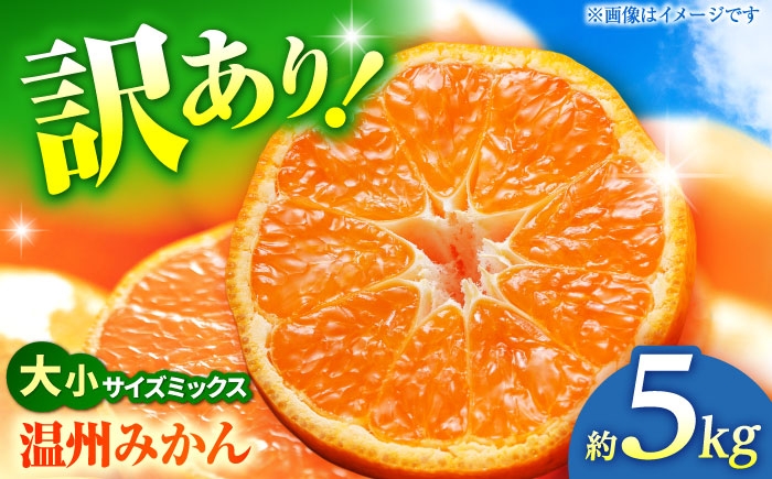 
                  【先行予約】 温州みかん 訳あり サイズミックス 3S-3L 約5kg みかん 蜜柑 サイズ 不選別 家庭用 柑橘 フルーツ 果物 【日本フルーツ株式会社】 1万円以下 10000円以下 [ZFJ050]
                