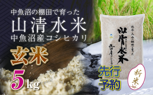 【新米先行受付】新潟県魚沼産コシヒカリ「山清水米」玄米5kg