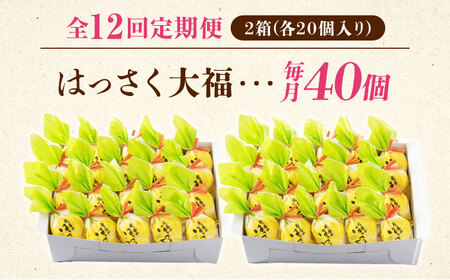 【12回定期便】お菓子 はっさく大福20個入×2　 お菓子 大福 八朔 柑橘 みかん オレンジ 餅 ギフト お取り寄せ スイーツ フルーツ大福 ご当地 菓子 おかし デザート 食品 人気 おすすめ 広