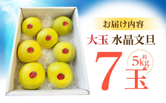 南国土佐の女王柑橘 水晶文旦 約5kg 7玉入り〈2025年9月中旬～2025年12月下旬頃発送〉/ 大玉サイズ ぶんたん 文旦 フルーツ 高知名物 果物 【フルーツショップオザキ】 [ATAH010