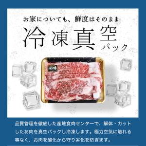 いわて牛 ローススライス 500g 牛肉 スライス DV074
