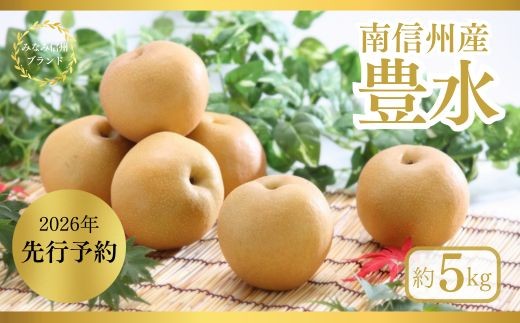 JA06-26A【先行予約】梨 豊水 約5kg / 2026年9月上旬～下旬頃 配送予定 // 贈答 センサー選別 糖度センサー 梨 なし ナシ 果物 フルーツ ギフト 豊水 太鼓判 優糖生