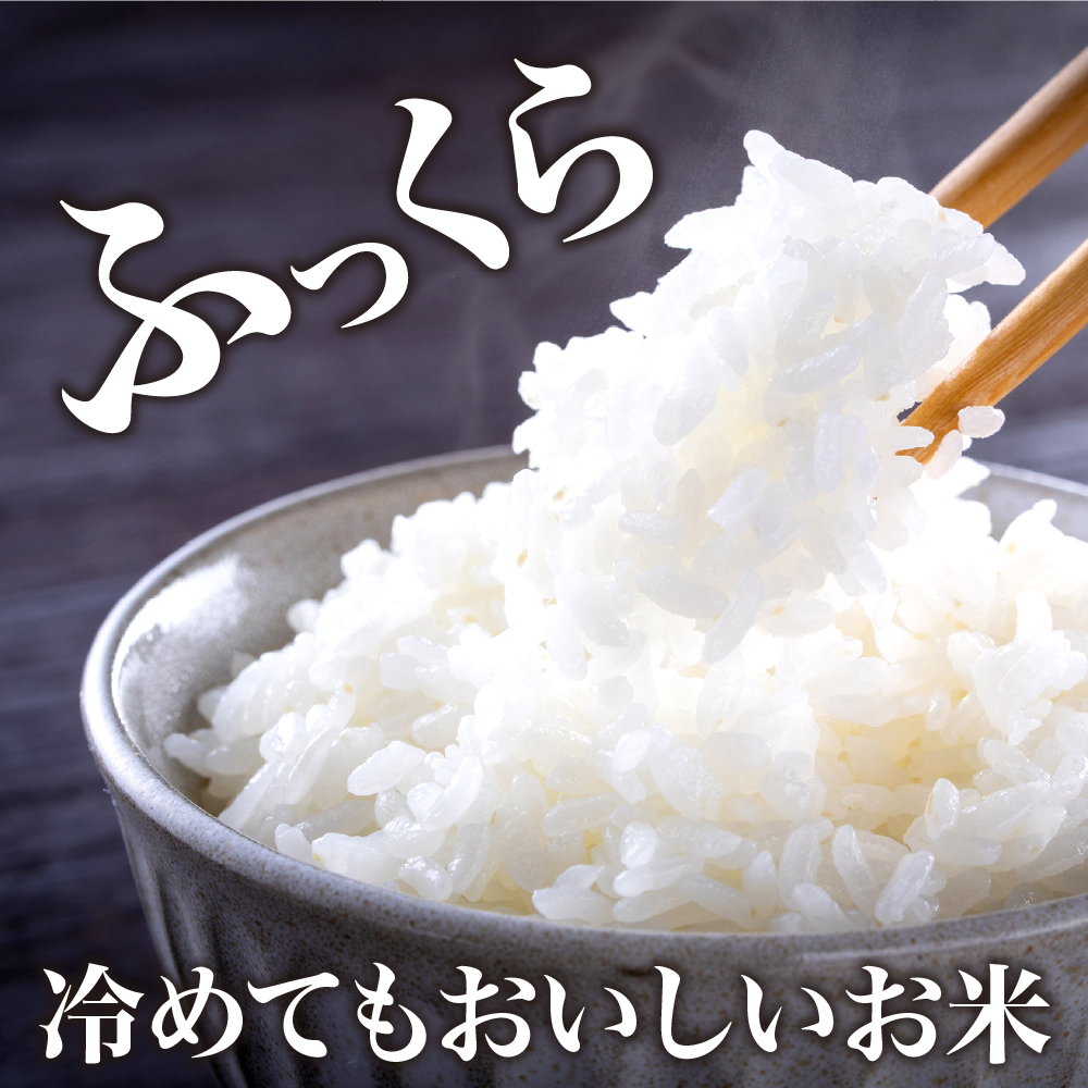 【令和8年産米】2027年2月下旬発送 はえぬき60kg（20kg×3ヶ月）毎月定期便  山形県産 【米comeかほく協同組合】 ka024-113d-r8-02043