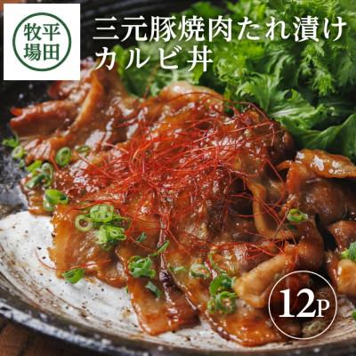 ふるさと納税 酒田市 【平田牧場】 三元豚 焼肉たれ漬け カルビ丼(140g×12)