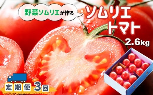【定期便】【特別栽培農産物】ソムリエトマト ( トマト 2.6kg ) × 3ヶ月 | 野菜 やさい とまと 野菜ソムリエ 畑の宝石 熊本県 玉名市