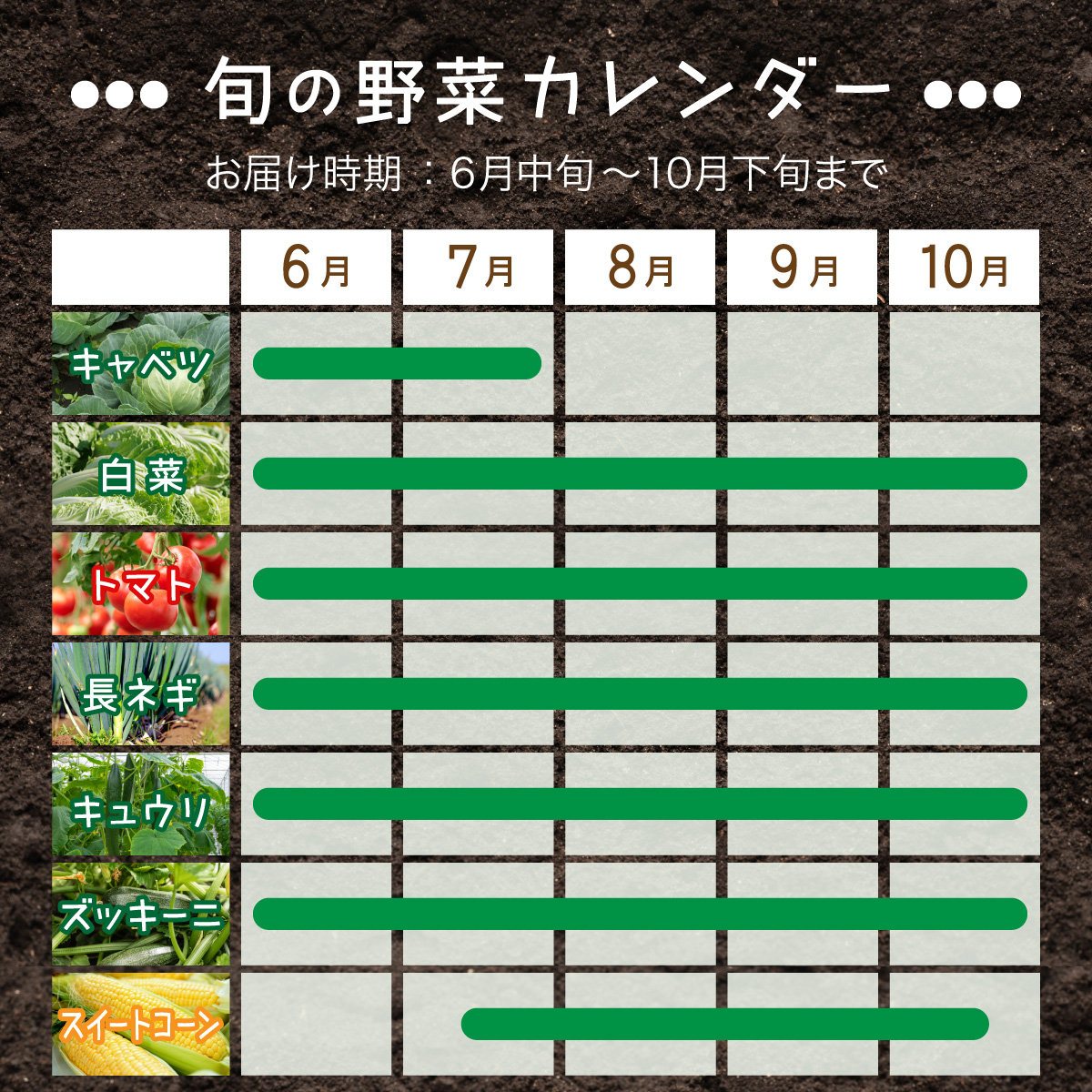 【2025年 発送 】 先行予約 北海道 伊達市 産直 ・ 旬 の おまかせ 野菜 詰合せ_イメージ3