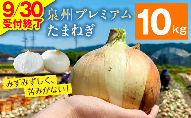 G3680-1 プレミアムたまねぎ 10kg【泉州 玉ねぎ タマネギ 玉葱 甘い 野菜 国産 オニオン サラダ カレー バーベキュー】