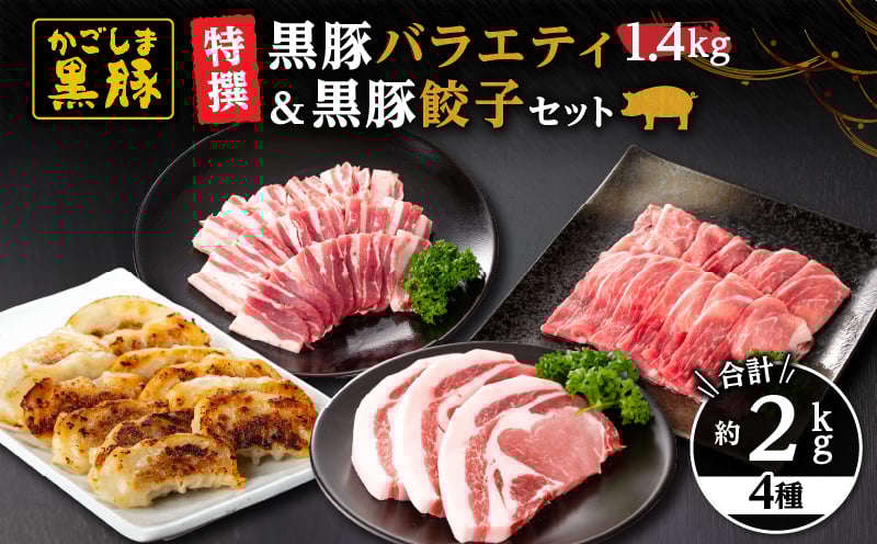 
            1450 特撰 鹿児島黒豚バラエティ1.4kg（モモ・バラ・とんかつ用）＋黒豚餃子　KN038-014
          