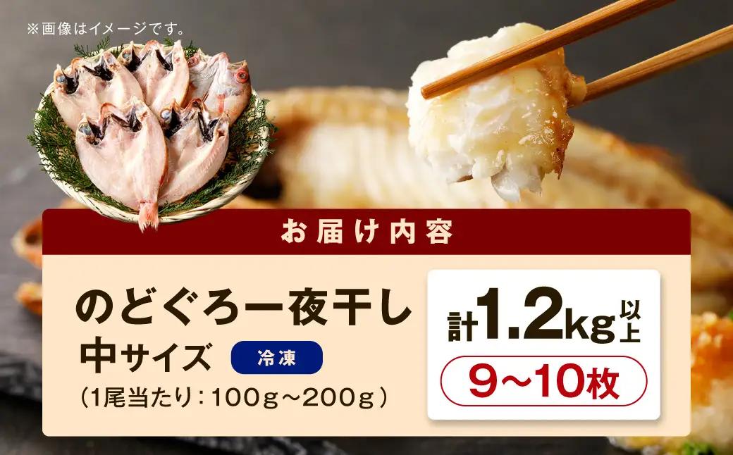 シーライフのどぐろ一夜干し9～10枚で計1.2kg 「大人気セット」【005_2066】