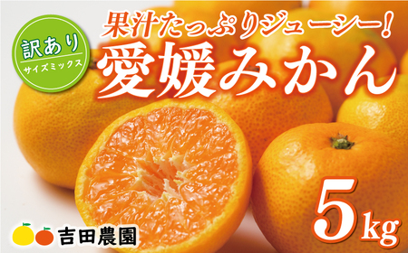 【高評価★4.8】 先行予約 訳あり 愛媛みかん 5kg 10000円 愛媛 みかん 温州みかん こたつ みかん mikan 蜜柑 ミカン 家庭用 産地直送 国産 農家直送 糖度 期間限定 数量限定 特産品 ゼリー ジュース アイス 人気 限定 甘い フルーツ 果物 柑橘 先行 事前 予約 受付 ビタミン 美味しい おいしい サイズ ミックス 吉田農園 愛南町 愛媛県