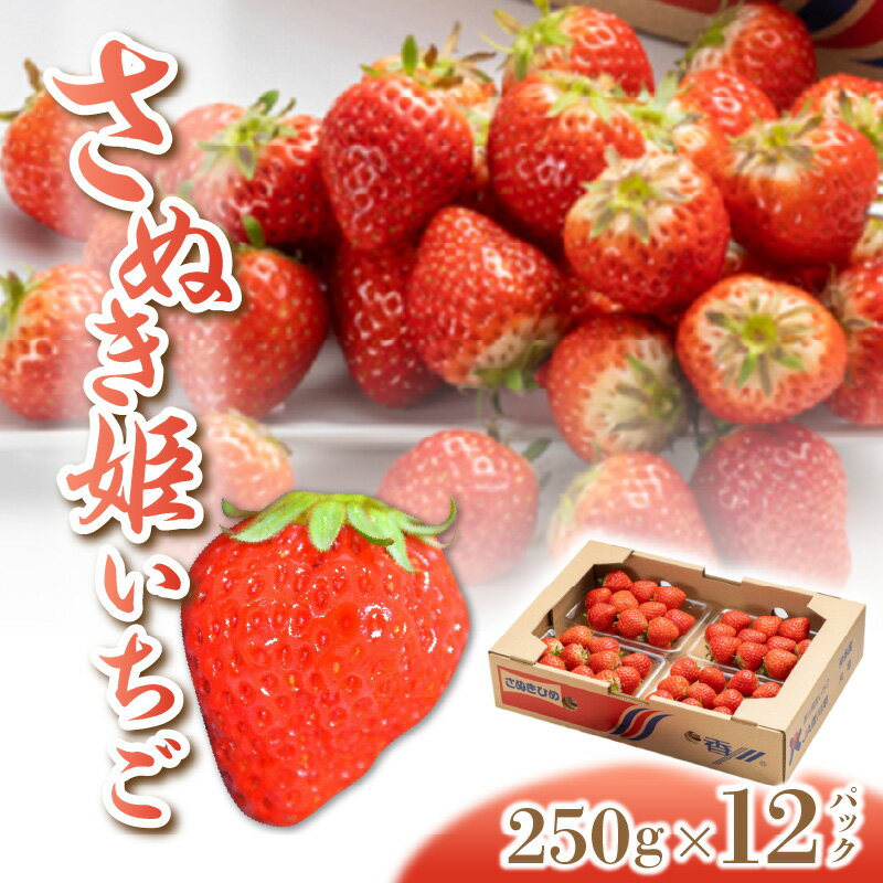 【ふるさと納税】 いちご さぬき姫 オリジナル品種 約3kg(250g×12) [ フルーツ 果物 果実 デザート スイーツ 甘い 果汁 食品 国産 香川県 三豊市 お取り寄せ お取り寄せグルメ ギフト プレゼント 送料無料 北浜商店 ] 【2026年出荷】【配送不可地域：北海道・沖縄・離島】