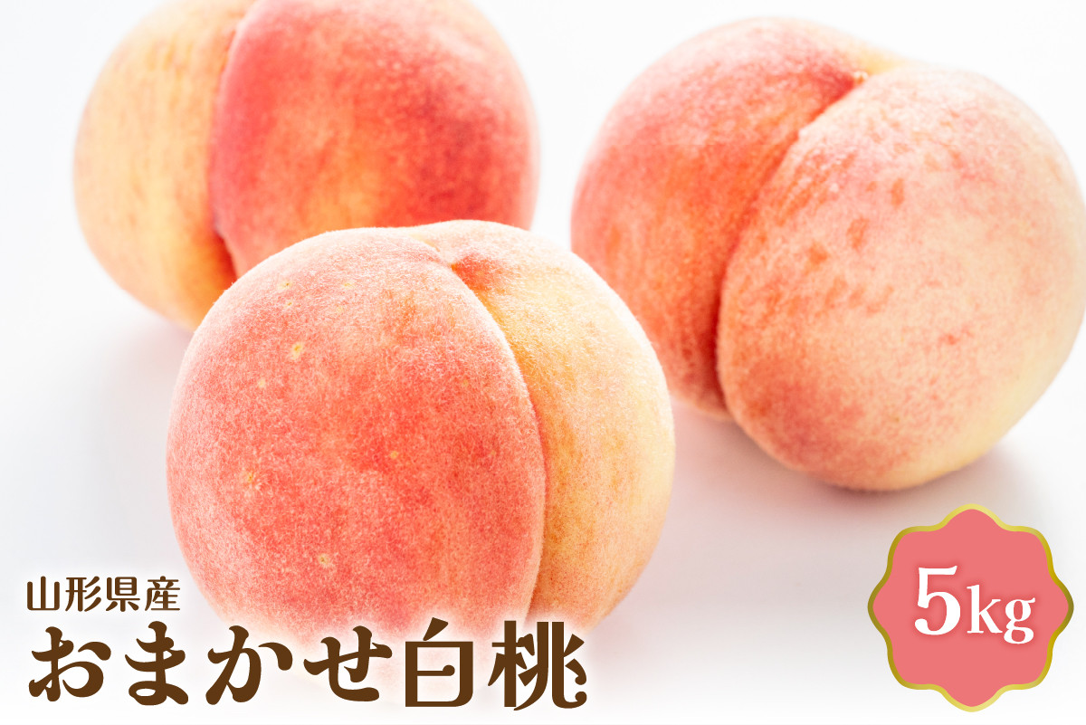 
            【令和7年産】 おまかせ白桃 5kg【JAさがえ西村山】
          