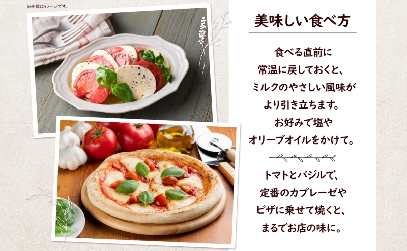12ヶ月定期便 出来立て新鮮 モッツァレラチーズ100g  ×  4個セット 茅ケ崎産 加工食品 乳製品 チーズ 出来立て 神奈川県産 モッツァレラ 手作り Osteria e Bottega S 神