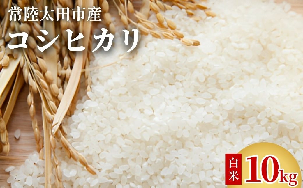 
            【2週間以内発送】コシヒカリ 令和7年産 茨城県 常陸太田市産 コシヒカリ（10kg）｜こしひかり 米 こめ コメ お取り寄せ 米どころ 茨城県産 贈答 人気 ランキング ごはん 贈り物 10キロ 風味 甘い 常陸太田市 茨城県
          