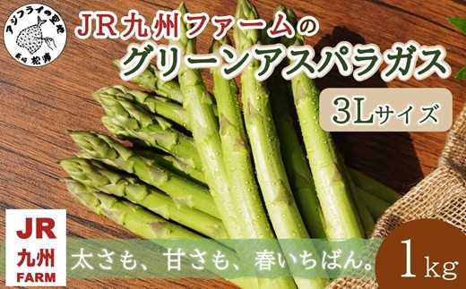 
                  JR九州ファームのグリーンアスパラガス 3Lサイズ 1kg ( アスパラガス グリーンアスパラガス 国産 送料無料 長崎県 松浦市 )【B5-131】
                