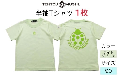 子ども用 半袖Tシャツ TENTOUMUSHI てんとう虫PT ライトグリーン 90サイズ｜子供 服 Tシャツ 綿 国産 日本製 赤ちゃん ベビー お祝い [0800]