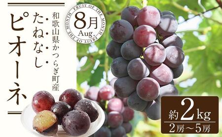 定期便全3回 【7月・8月・9月発送】 和歌山のフルーツをお届け（桃・たねなしピオーネ・シャインマスカット）【TM180】