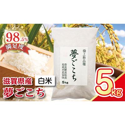 ふるさと納税 近江八幡市 【令和7年産】近江米夢ごこち　精米　5kg