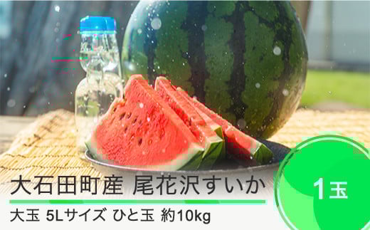 尾花沢すいか 5L×1玉 大玉  2025年産 令和7年産  すいか スイカ  ja-suo1x5