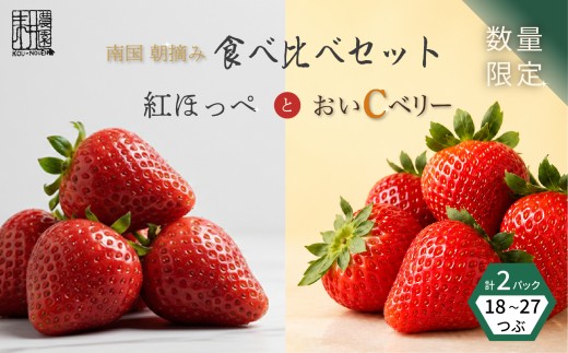 先行予約 いちご 苺 贅沢 食べ比べセット 紅ほっぺ おいCベリー 贈答品 各1 計2パック：18～27粒 （2027年1月発送開始） | 希少 新品種 高級 厳選 こだわり 贅沢 贈り物 ギフト プレゼント 限定 お取り寄せ 旬 甘い 大粒 高糖度 産地直送 期間限定 高知県 南国市