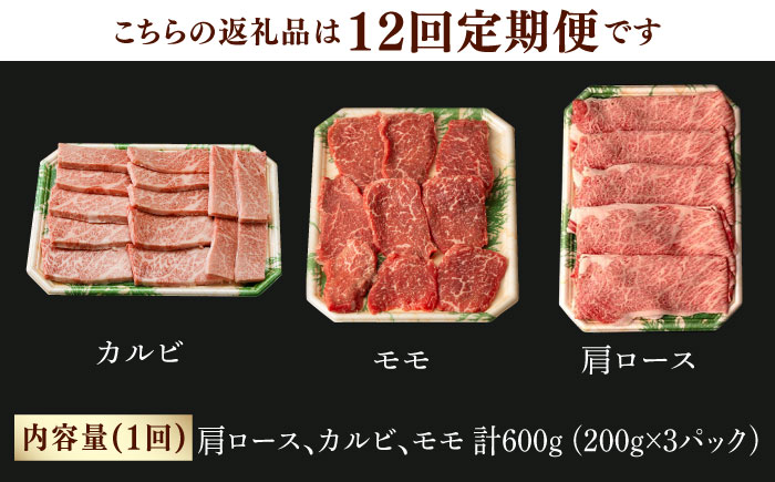 【第12回定期便】和牛 バーベキュー セット 肩ロース カルビ モモ 計600g (200g×3)  【夢ファームシュシュ】 [WF43] 和牛 牛肉 ロース