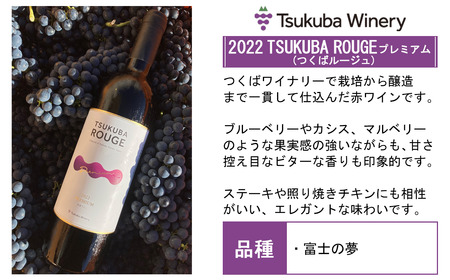 つくばワイナリー 満喫セット【お酒 葡萄 ぶどう ブドウ 茨城県産 つくば市産 ワイナリー ワイン ワイン ワイン ワイン ワイン 】