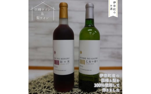 
【伊奈町産巨峰＆梨使用】巨峰ワイン・梨ワイン飲み比べセット 国産ワイン 日本のワイン ［先行予約受付中］
