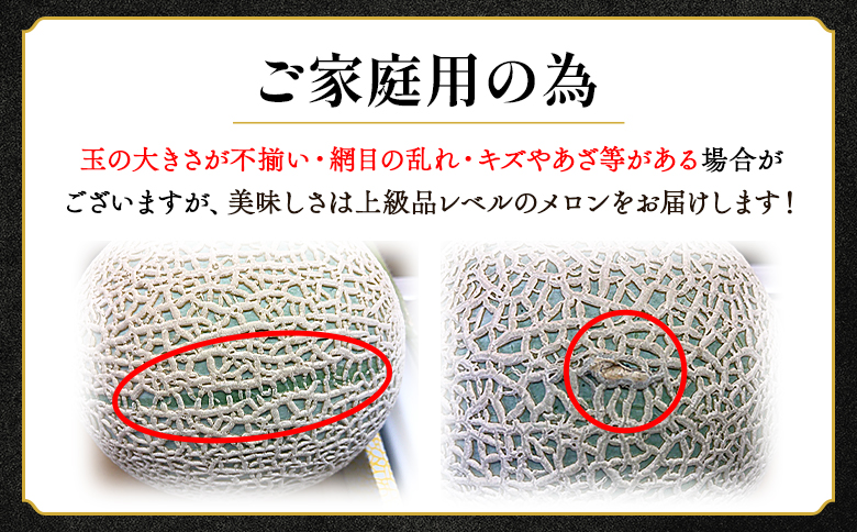 【発送開始】マスクメロン 家庭用 1玉入り 1.4kg以上 青肉メロン 糖度