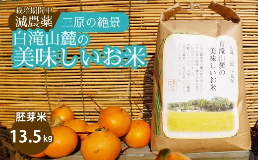 
            ≪栽培期間中減農薬≫ 三原の絶景白滝山系の美味しいお米 胚芽米 13.5kg 瀬戸内ビオファーム ご飯 米 おこめ 002008
          