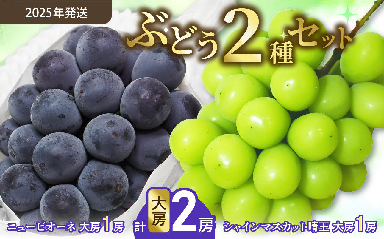 
            【令和７年発送分】岡山県産 シャインマスカット晴王×ニューピオーネ 各大房2種（令和7年8月から10月発送）【 岡山県産 シャインマスカット ニューピオーネ 大房 秀品 晴王 晴れの国おかやま 】
          