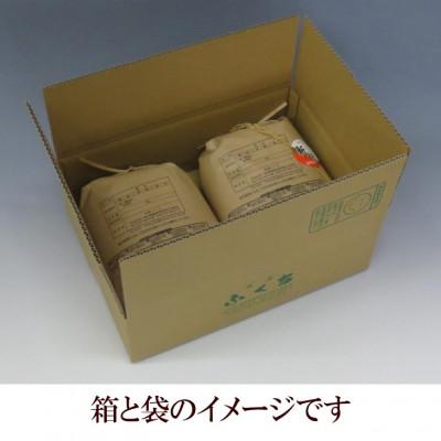 ふるさと納税 奥州市 玄米 金色の風(こんじきのかぜ)米 12kg(6kg×2) 岩手県奥州市 令和6年産米[AC031] |  | 01